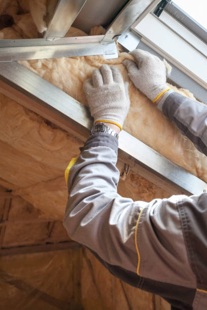 Best Blown-in Insulation in Kountze, TX